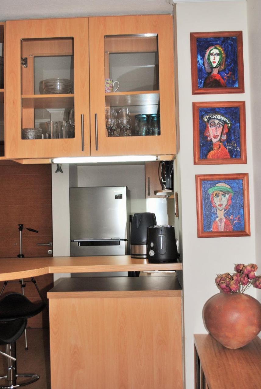 Studio Apartment En Providencia Santiago Ngoại thất bức ảnh